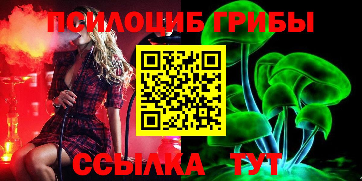 Галлюциногенные грибы мицелий Новодвинск