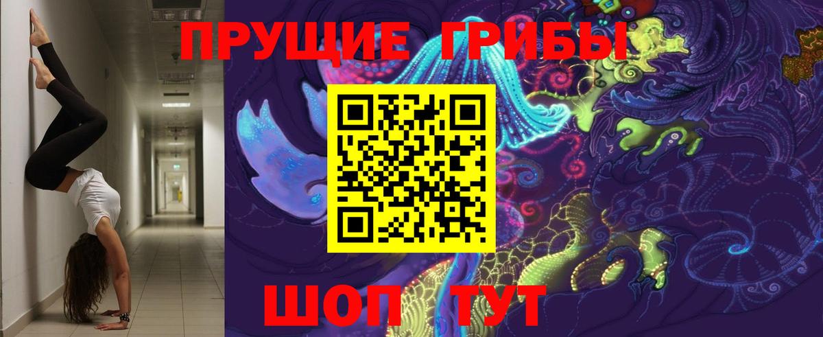 купить наркоту  Вход с VPN  Новодвинск  Галлюциногенные грибы мухоморы 
